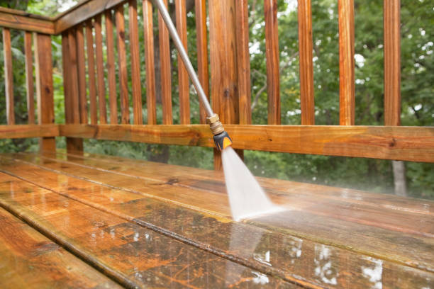 Best Driveway Pressure Washing  in Mount Pleasant, SC